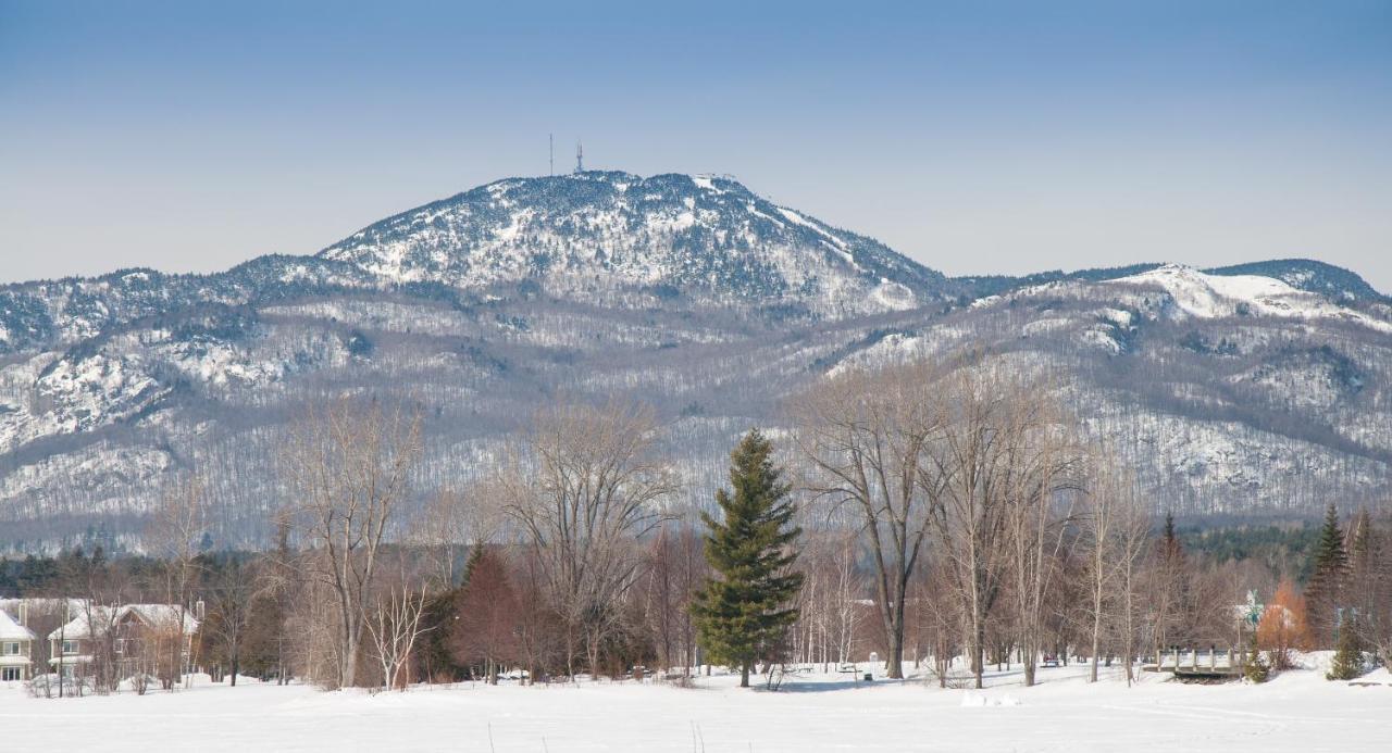 À Amour et Amitié Magog Exterior foto